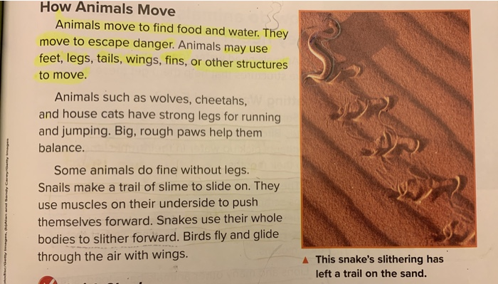 Solved How Animals Move Animals move to find food and water. 