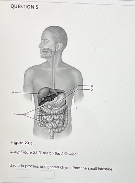 fig.5  Wchaverri's Blog