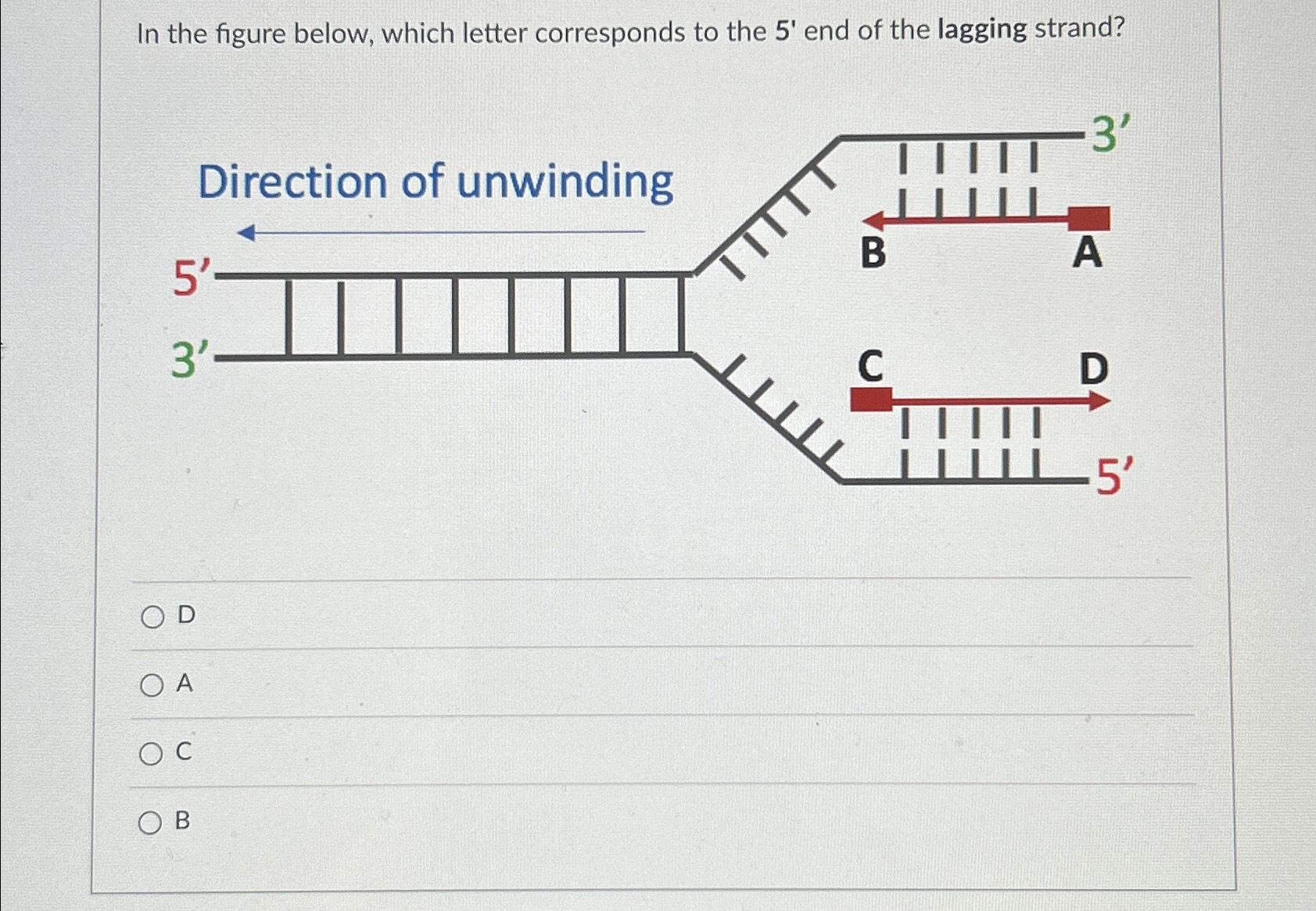Solved In the figure below, which letter corresponds to the | Chegg.com