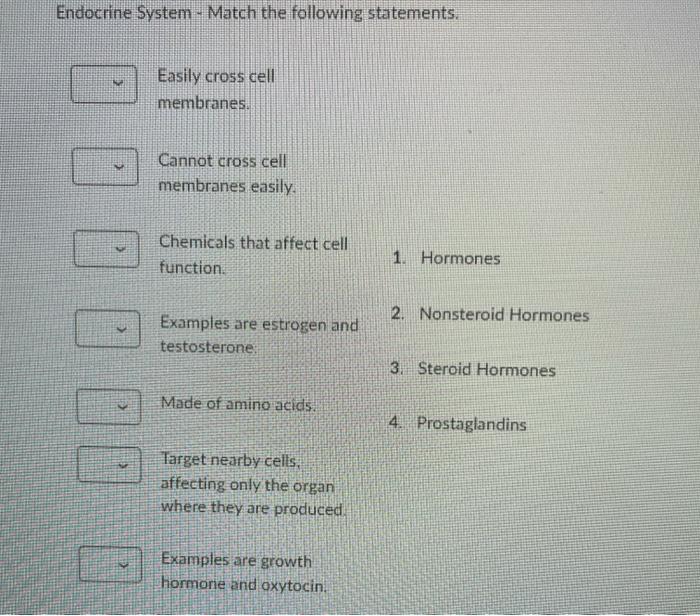 Solved Other Endocrine Glands - Match the following | Chegg.com