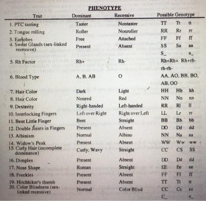 Trait 1. PTC tasting 2. Tongue rolling 3. Earlobes 4. Sweat Glands (sex-linked recessive) PHENOTYPE Dominant Recessive Taster
