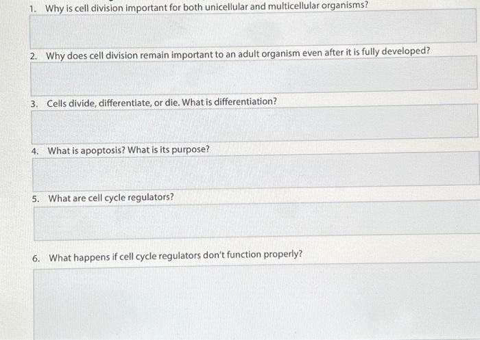 Solved 3. Cells divide, differentiate, or die. What is | Chegg.com