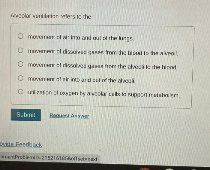 Solved Alveolar ventilation refers to the O movement of air