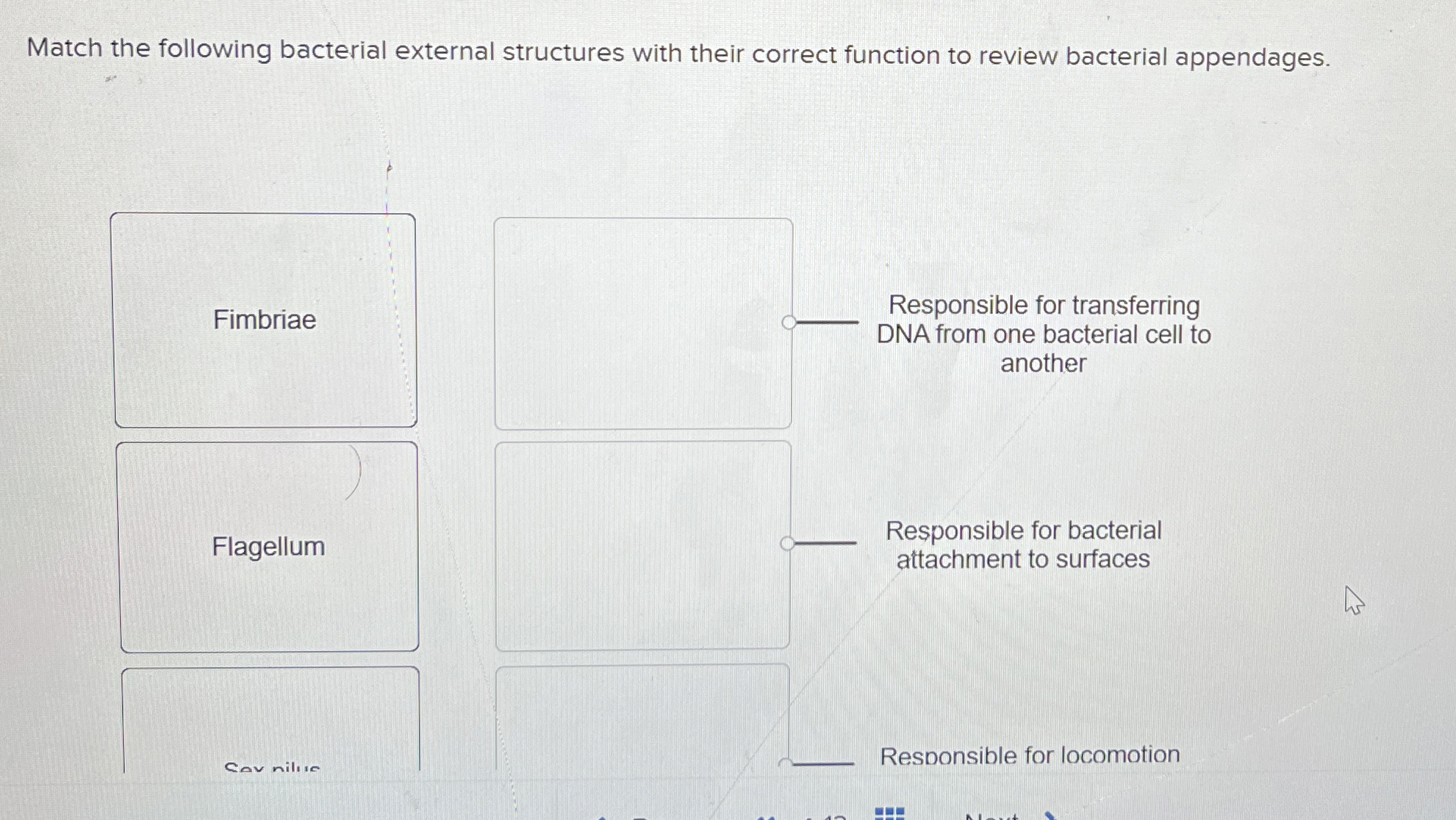 Solved Match the following bacterial external structures | Chegg.com