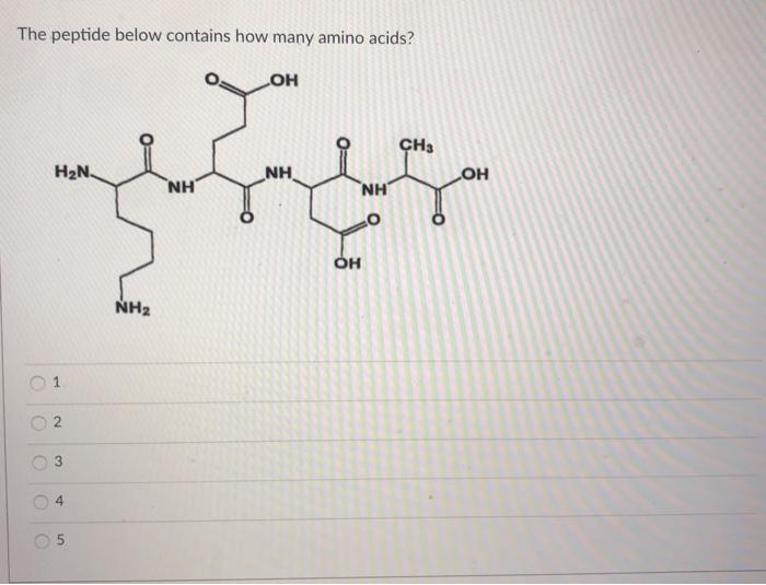 Solved The peptide below contains how many amino acids? ОН | Chegg.com