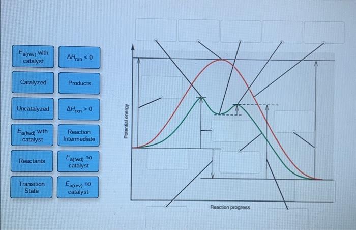 Solved Label the following reaction energy diagram for a | Chegg.com