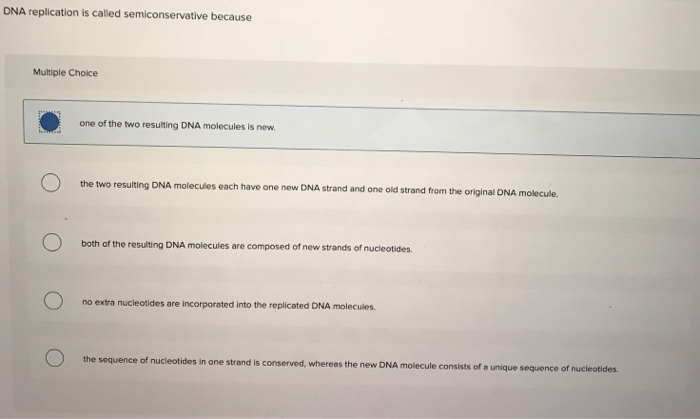 Solved DNA replication is called semiconservative because | Chegg.com