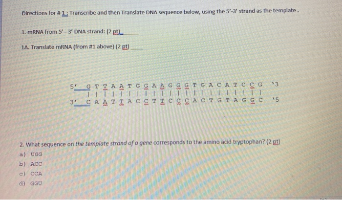 Solved Directions For #1: Transcribe And Then Translate DNA | Chegg.com