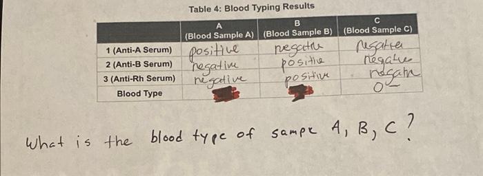 Table 4 Blood Typing Results