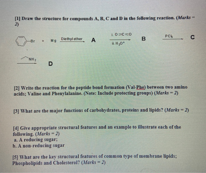 Solved [1] Draw the structure for compounds A, B, C and D in | Chegg.com