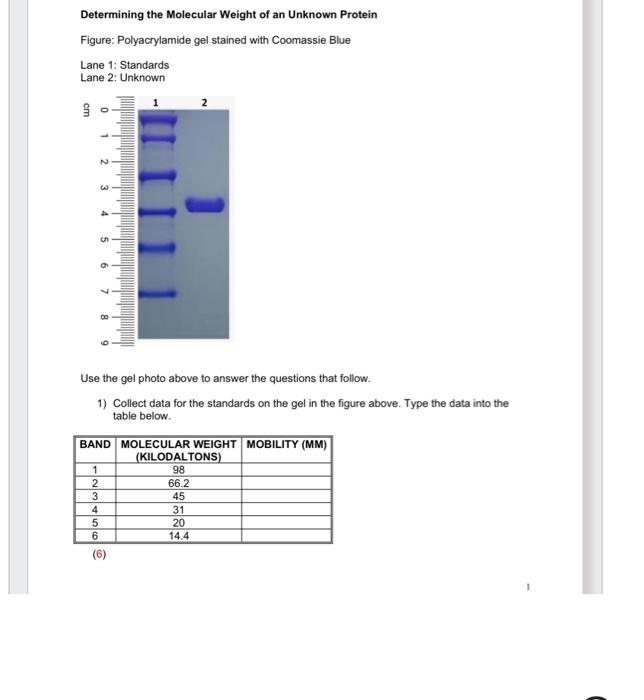 Solved Determining the Molecular Weight of an Unknown | Chegg.com