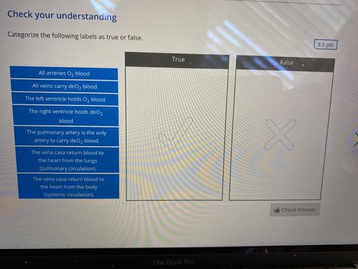 Solved Check your understanding Categorize the following