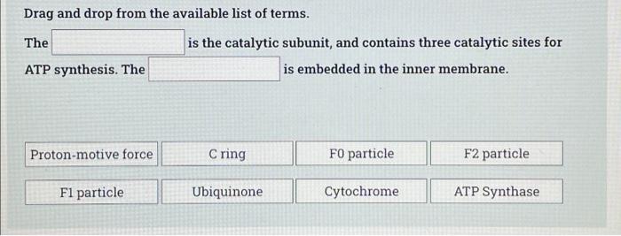 Solved Drag and drop from the available list of terms. | Chegg.com