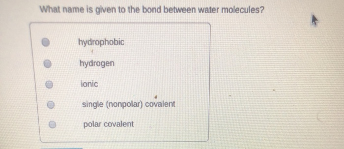 Solved What name is given to the bond between water | Chegg.com