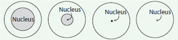 represents nucleus