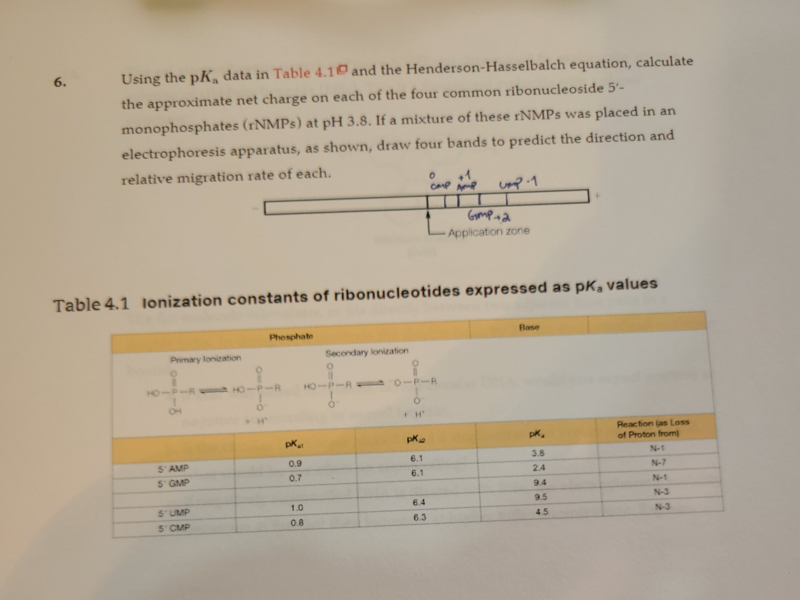 Solved Using the pKa ﻿data in Table 4.1 ﻿and the | Chegg.com