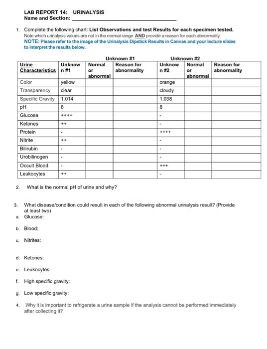 Lab Report 14 Urinalysis Name And Section 1 Chegg 