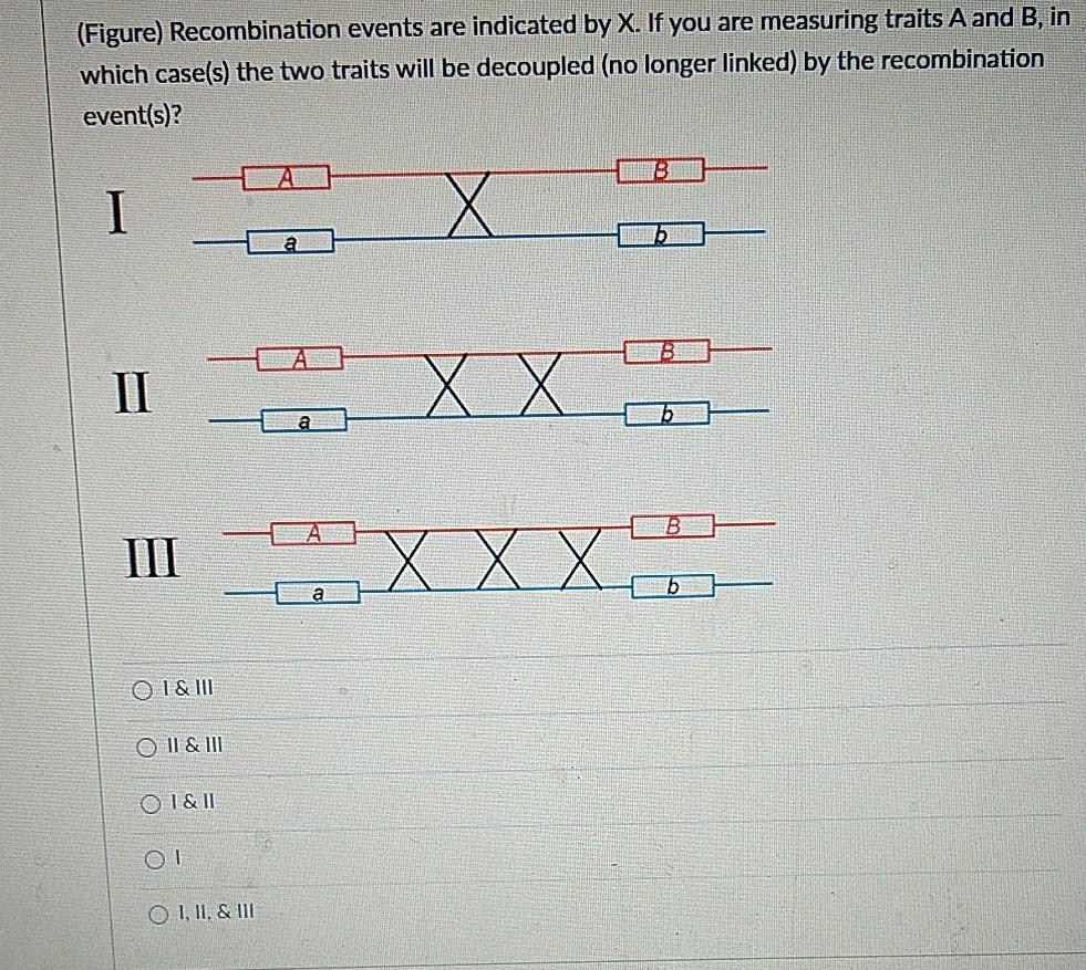 Solved Question 7 Genes A and B are 6 map units apart. What | Chegg.com