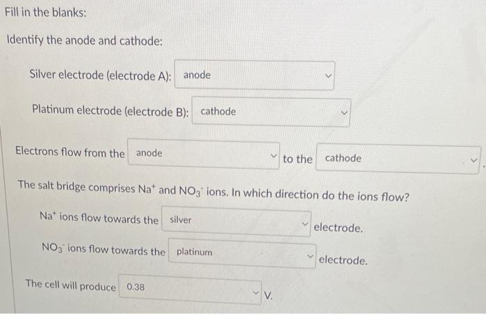 Solved The image below shows a schematic of a galvanic cell. | Chegg.com