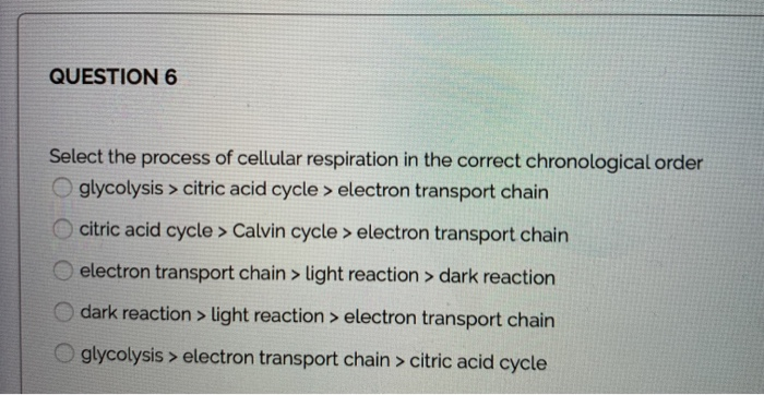 Solved QUESTION 6 Select the process of cellular respiration | Chegg.com