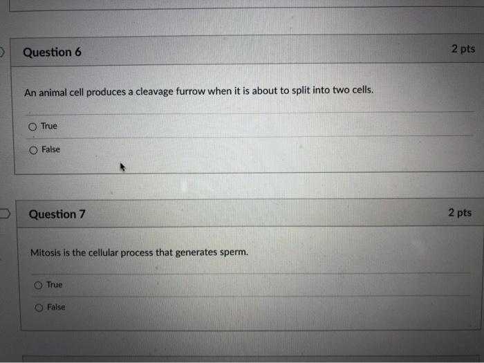 Solved Question 6 2 pts An animal cell produces a cleavage | Chegg.com