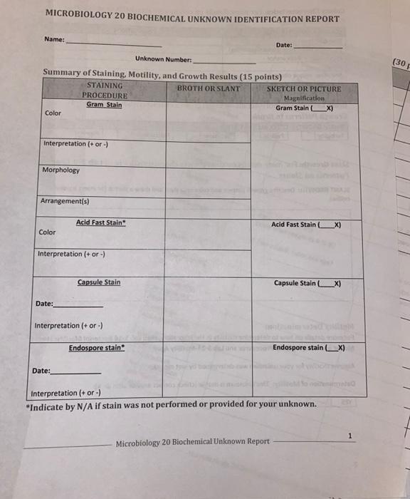 Solved Biochemical Unknown #24 Acid-Fast Stain Gram Stain | Chegg.com