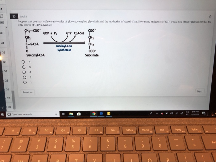 Solved 33 1 Point Ketone Bodies Are Made When Atp Is In E Chegg Com