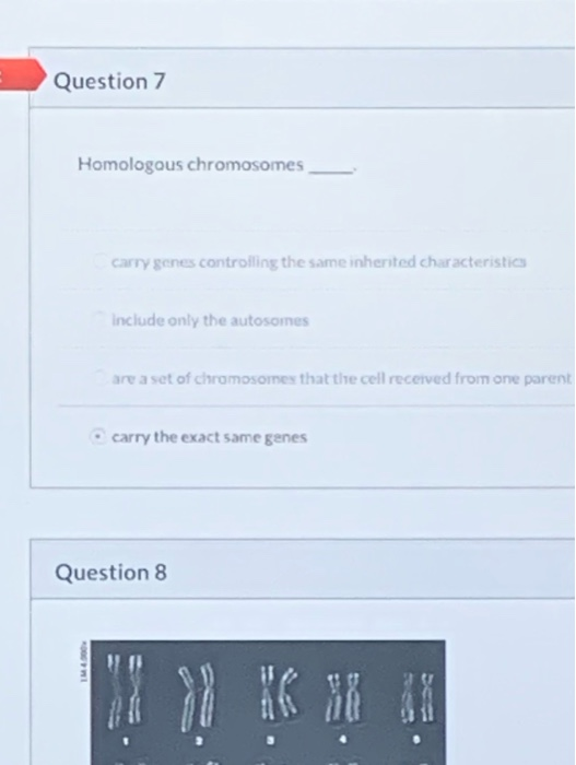 Question 7 Homologous chromosomes carry genes | Chegg.com