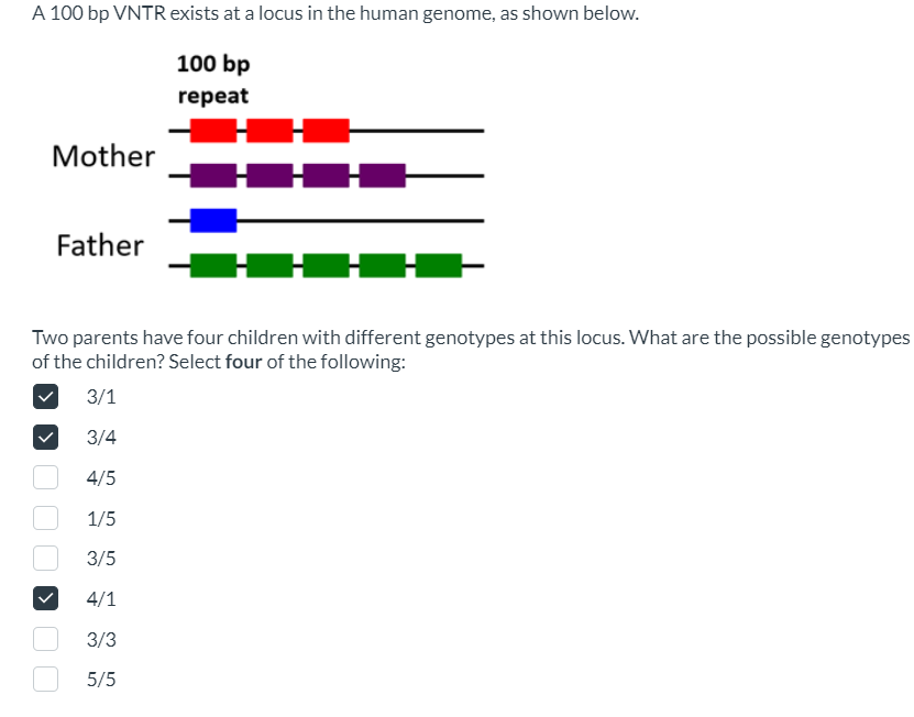 Solved How do I solve thisA 100bp ﻿VNTR exists at a locus in | Chegg.com