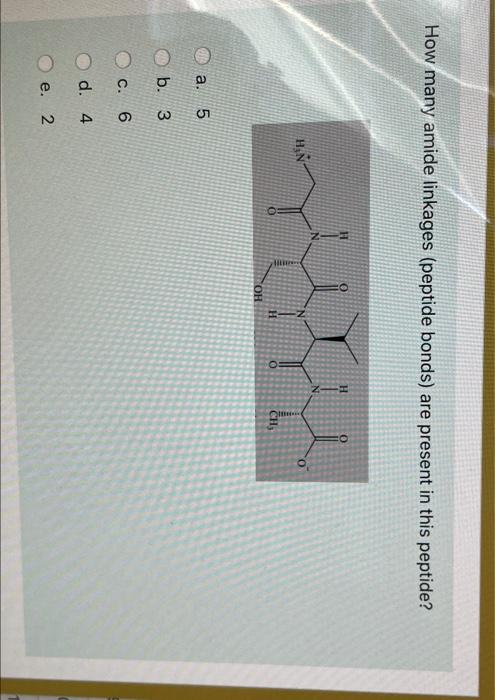 Solved How Many Amide Linkages (peptide Bonds) Are Present | Chegg.com