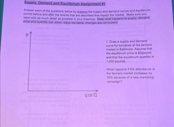 supply and demand assignment answers