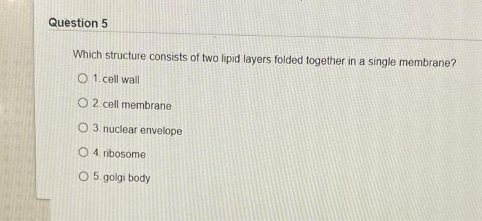 Solved Question 5 Which structure consists of two lipid | Chegg.com