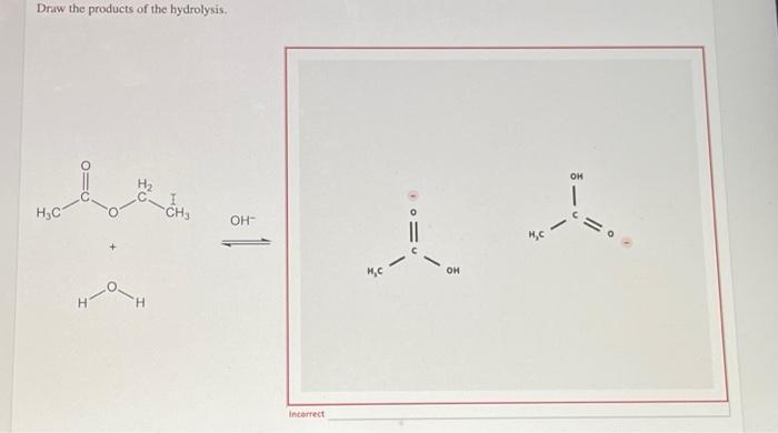 Draw the products of the hydrolysis.