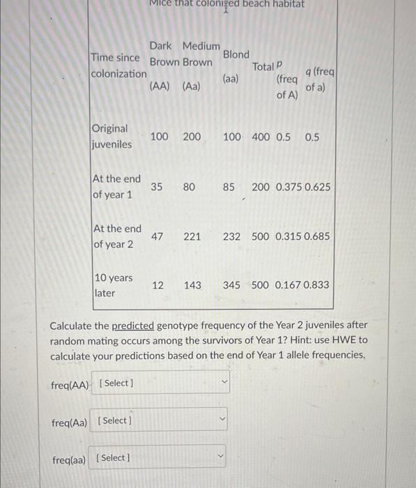 Solved Calculate the predicted genotype frequency of the | Chegg.com