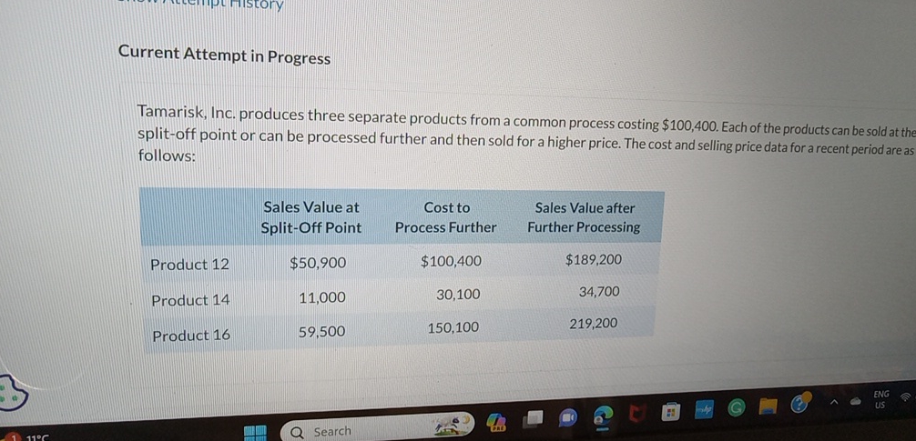 Solved Current Attempt in ProgressTamarisk, Inc. produces | Chegg.com