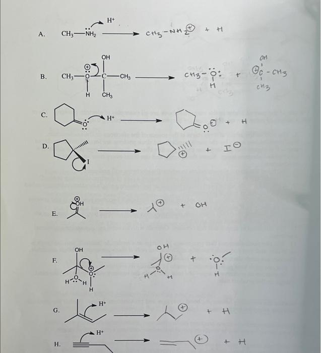 Solved Im Not Sure If My Answers Are Correct But Could You 5350