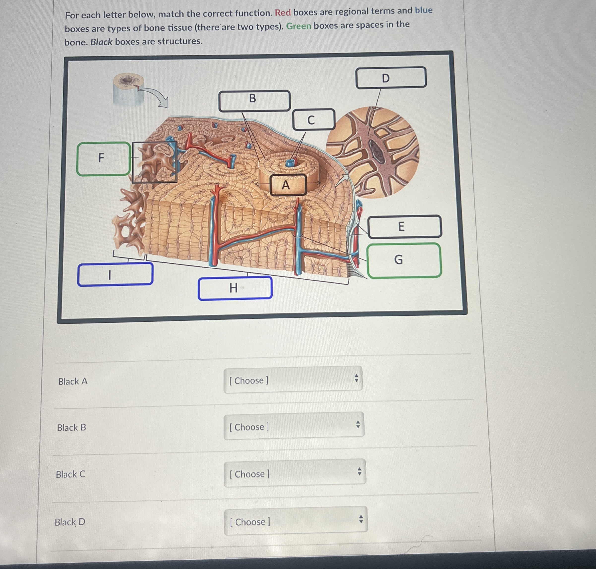 Solved For each letter below, match the correct function. | Chegg.com