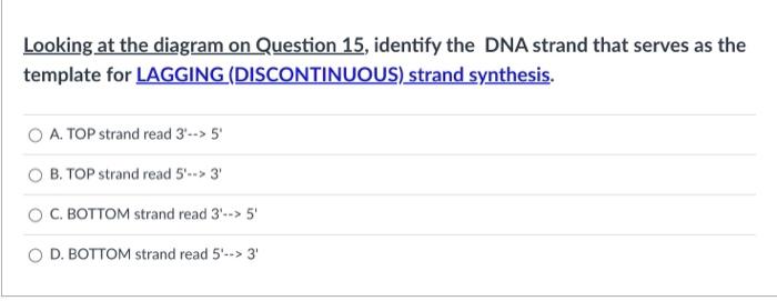 Solved The Diagram Below Depicts A Replication Fork At The | Chegg.com