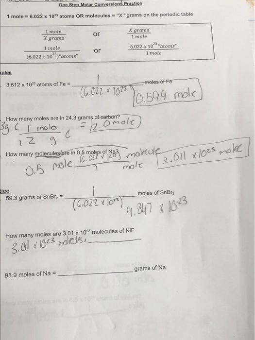 Mole conversion problems store