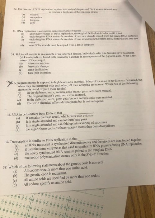 32 the process of dna replication