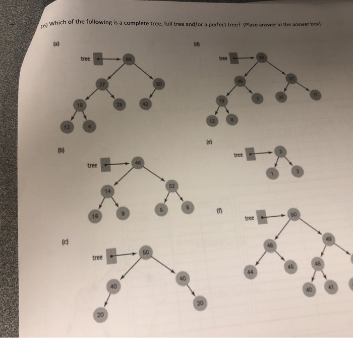 Solved Which of the following is a complete tree, full tree | Chegg.com