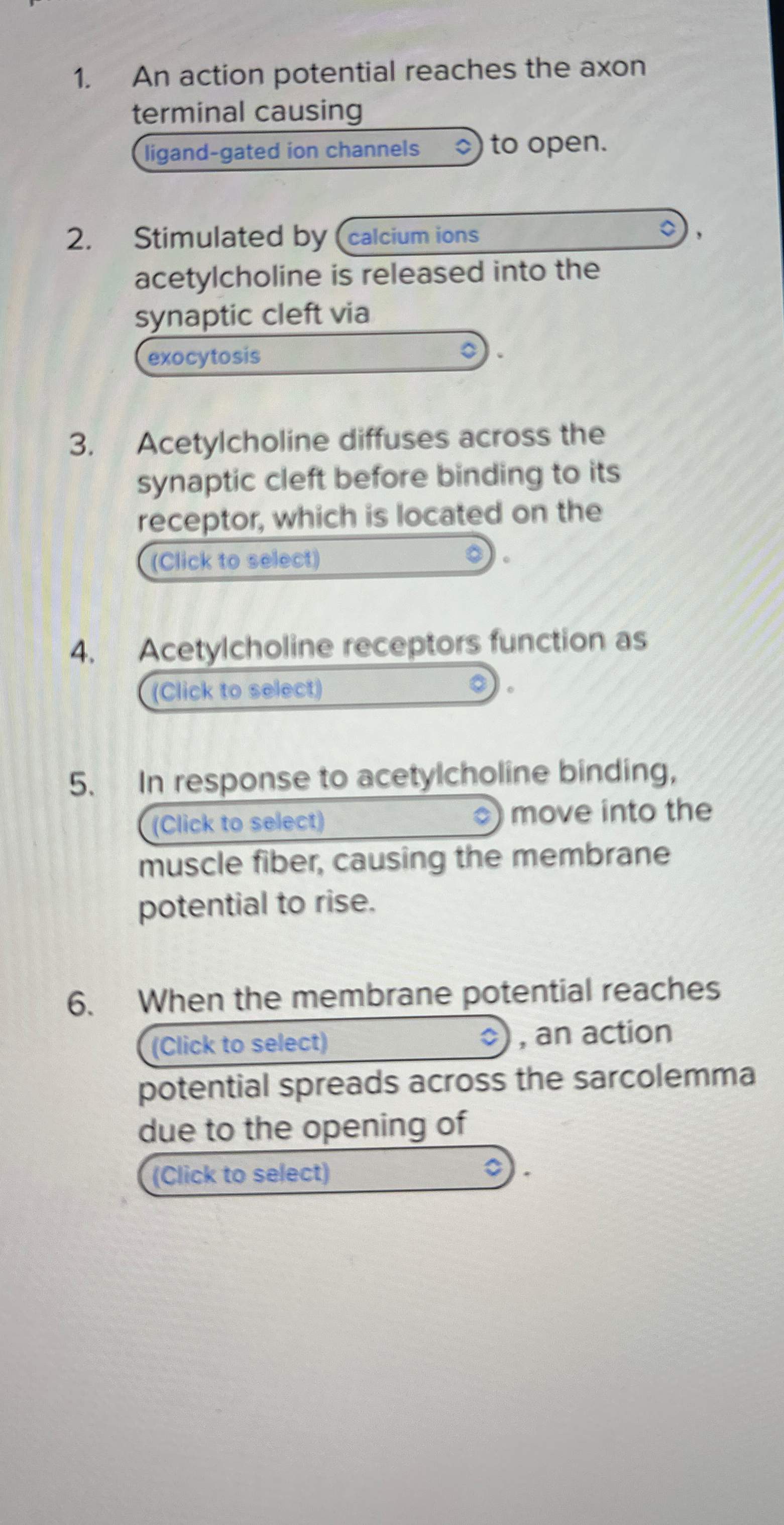 Solved An action potential reaches the axonterminal | Chegg.com