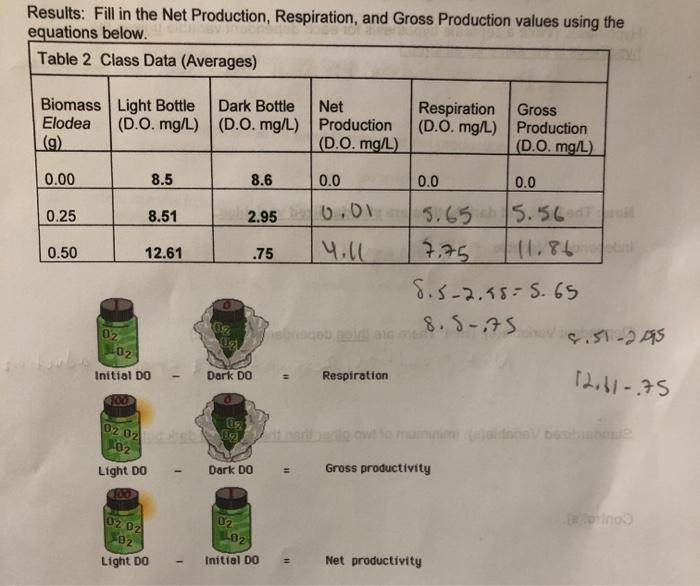 Results: Fill in the Net Production, Respiration, and | Chegg.com