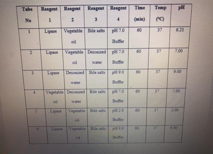 Solved assessing lipase digestion of fat experiment what