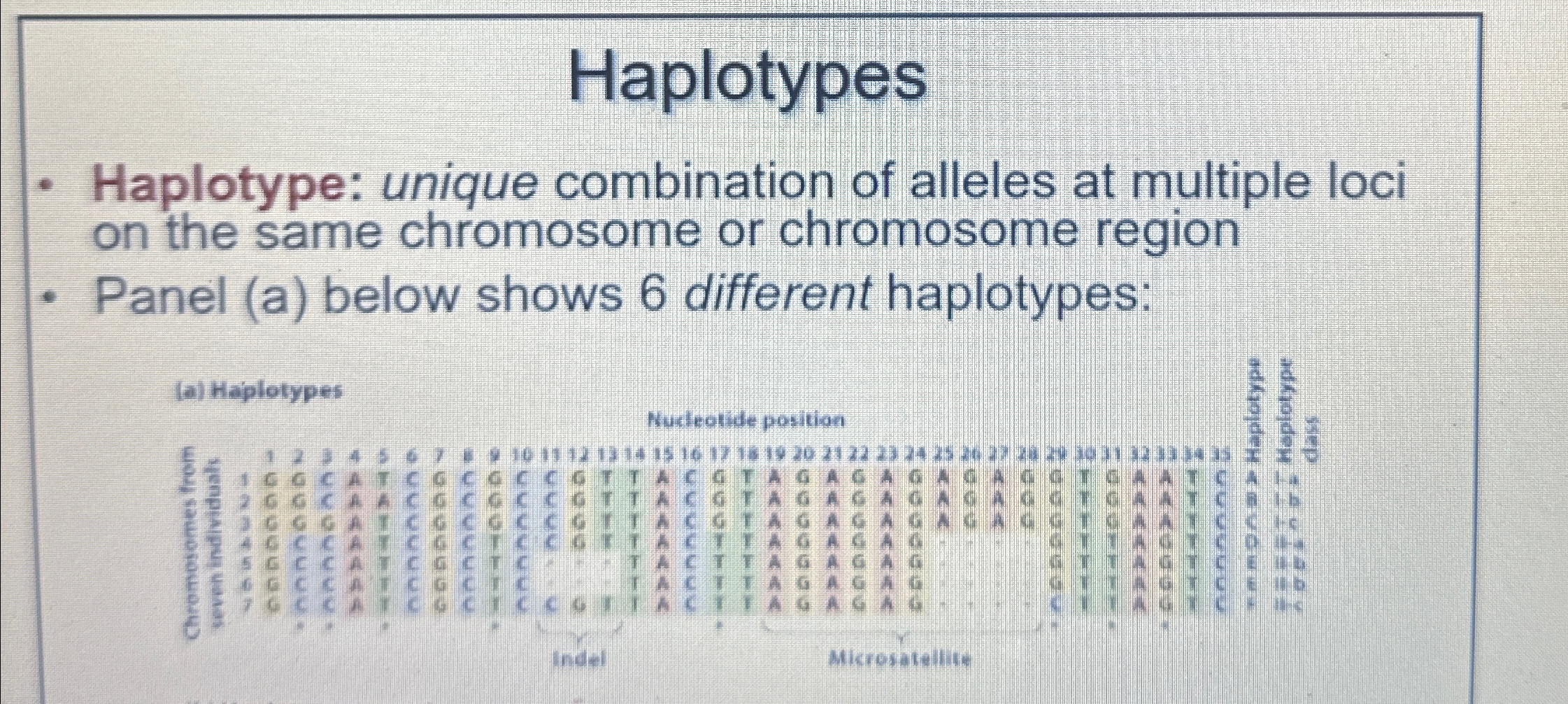 Solved HaplotypesHaplotype: unique combination of alleles at | Chegg.com