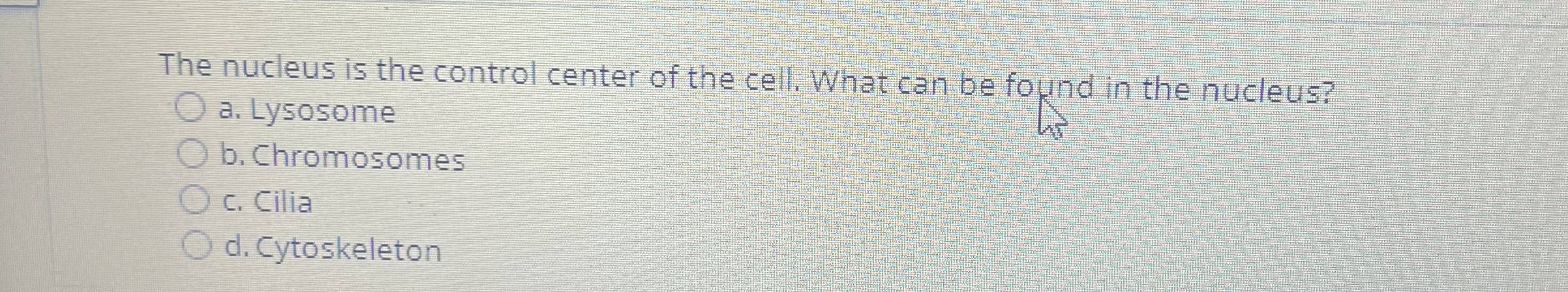 Solved The nucleus is the control center of the cell. What | Chegg.com