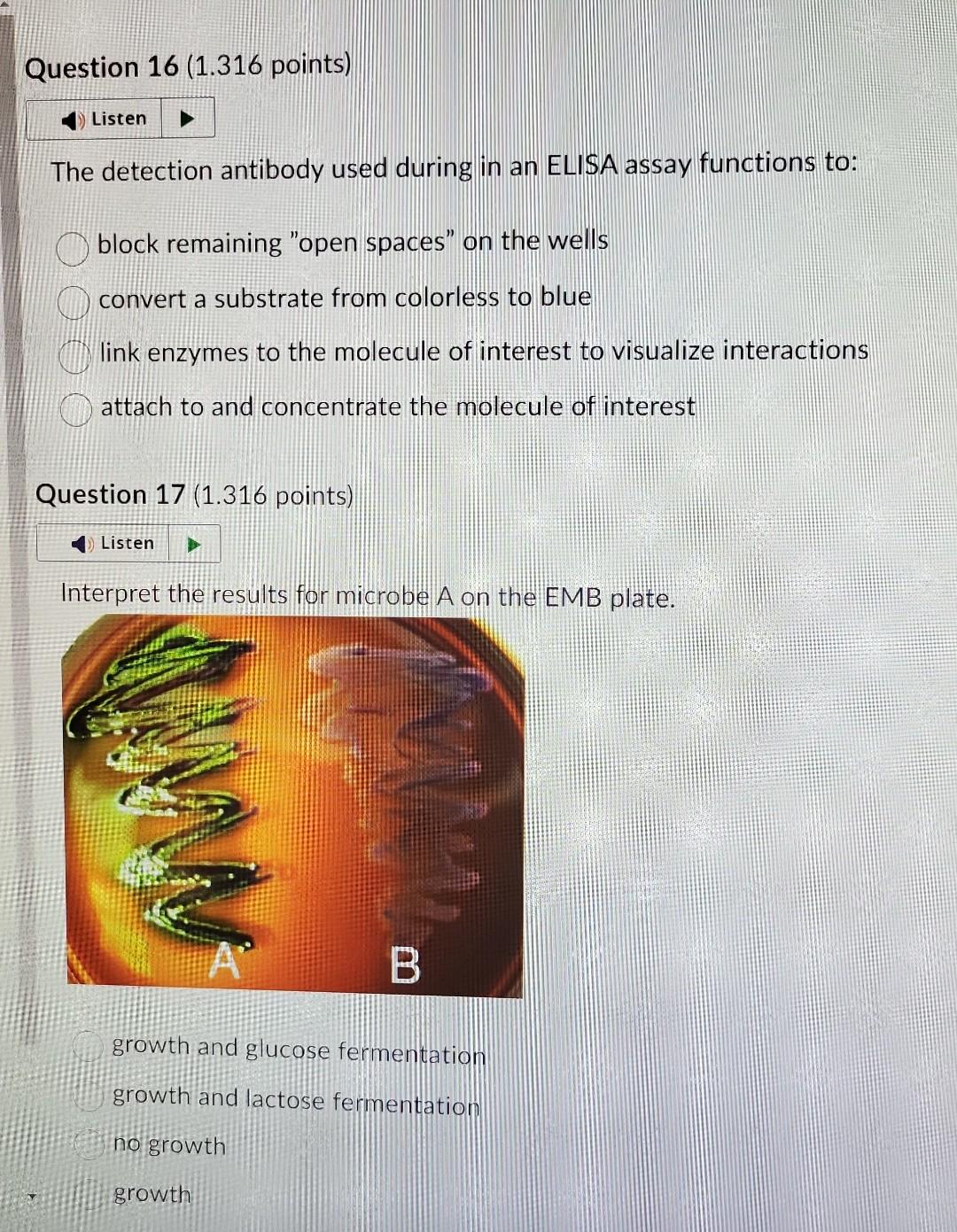 Solved Interpret the results of the Ornithine decarboxylase