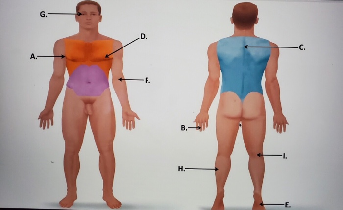 Solved G G. D. -C. A.- F. B. 1. H. -E. Use the Diagram to ...