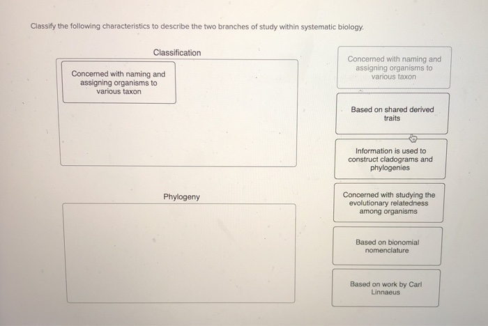 Solved Classify the following characteristics to describe | Chegg.com