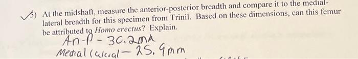 Solved (5) At the midshaft, measure the anterior-posterior | Chegg.com